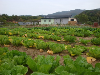 DSC00269.JPG