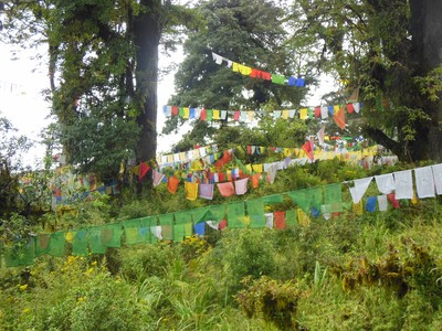 DSCN8502.JPG